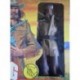 Mattel Big Jim 9498 personaggio Buffalo Bill 1976